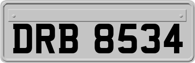 DRB8534