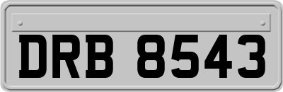 DRB8543
