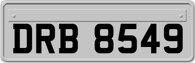 DRB8549