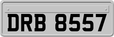 DRB8557