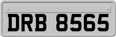 DRB8565