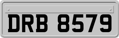 DRB8579