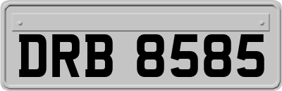 DRB8585