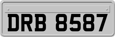 DRB8587
