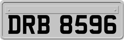 DRB8596
