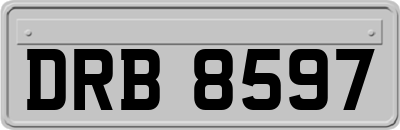 DRB8597