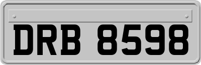 DRB8598