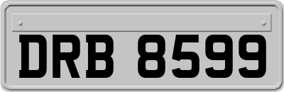 DRB8599