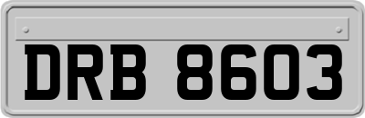 DRB8603