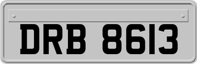 DRB8613