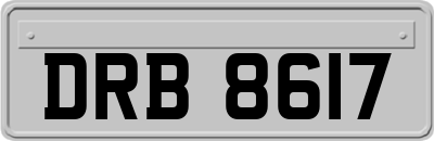DRB8617