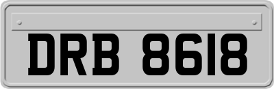 DRB8618