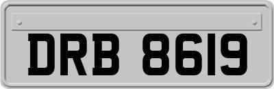 DRB8619