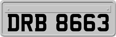 DRB8663