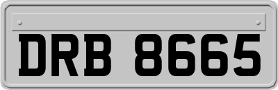 DRB8665