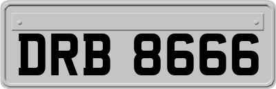 DRB8666