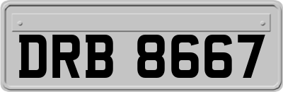 DRB8667
