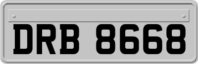 DRB8668