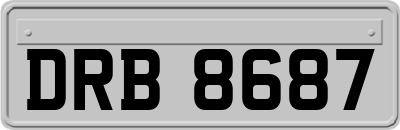 DRB8687