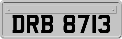 DRB8713