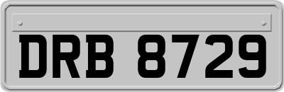 DRB8729