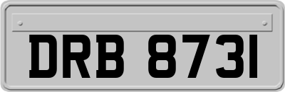 DRB8731