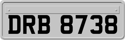 DRB8738