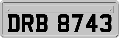 DRB8743