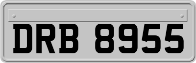 DRB8955