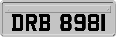DRB8981
