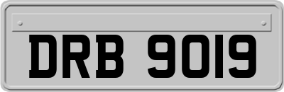 DRB9019