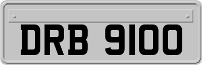 DRB9100