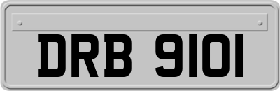 DRB9101