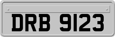 DRB9123
