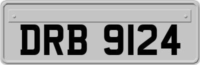 DRB9124