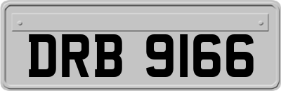 DRB9166