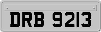 DRB9213