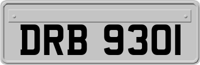 DRB9301