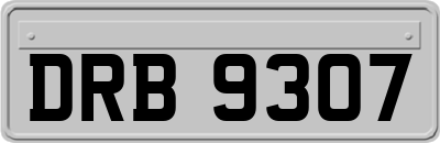 DRB9307