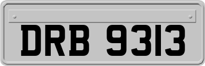 DRB9313
