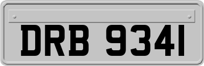 DRB9341