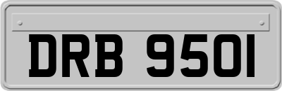 DRB9501