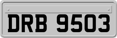 DRB9503