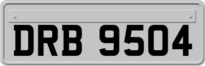 DRB9504