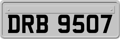 DRB9507
