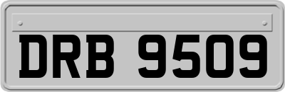 DRB9509