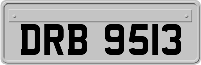 DRB9513