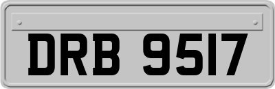 DRB9517