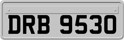 DRB9530