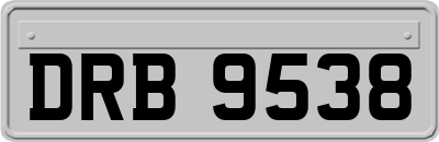 DRB9538